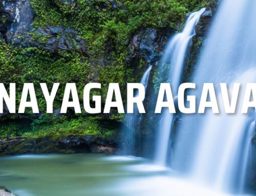 Vinayaka Akaval Gnana Prabhupada – 13